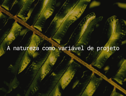 Design biofílico: o que é e como afeta cidades e imóveis